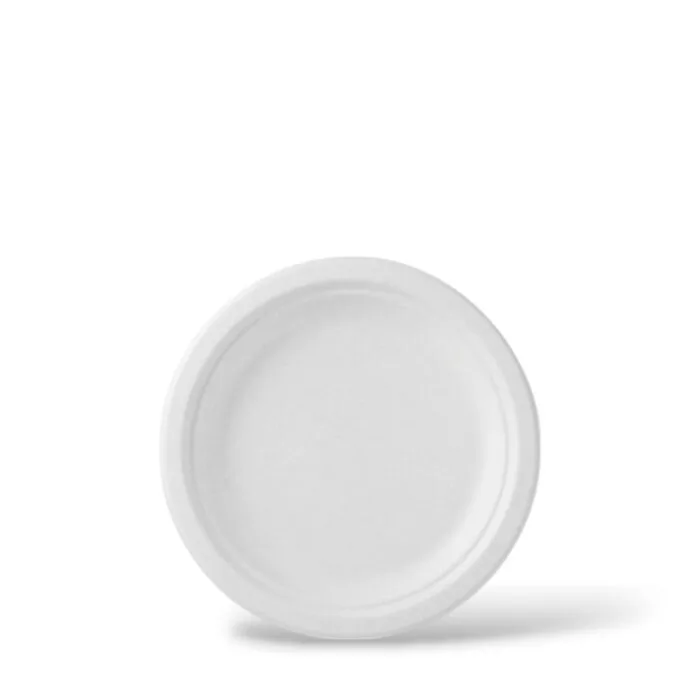 Plato Pando26.9cSalamancPP1632702724 C24