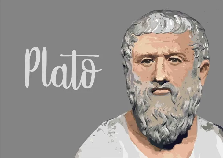 Plato IrregrHuell24cPPA118H012312TAL C12