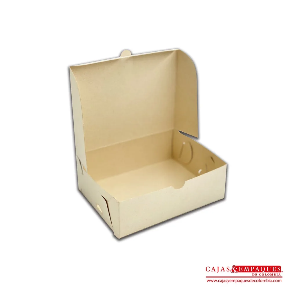 Caja Torta Plegadi20x20x7 x100u