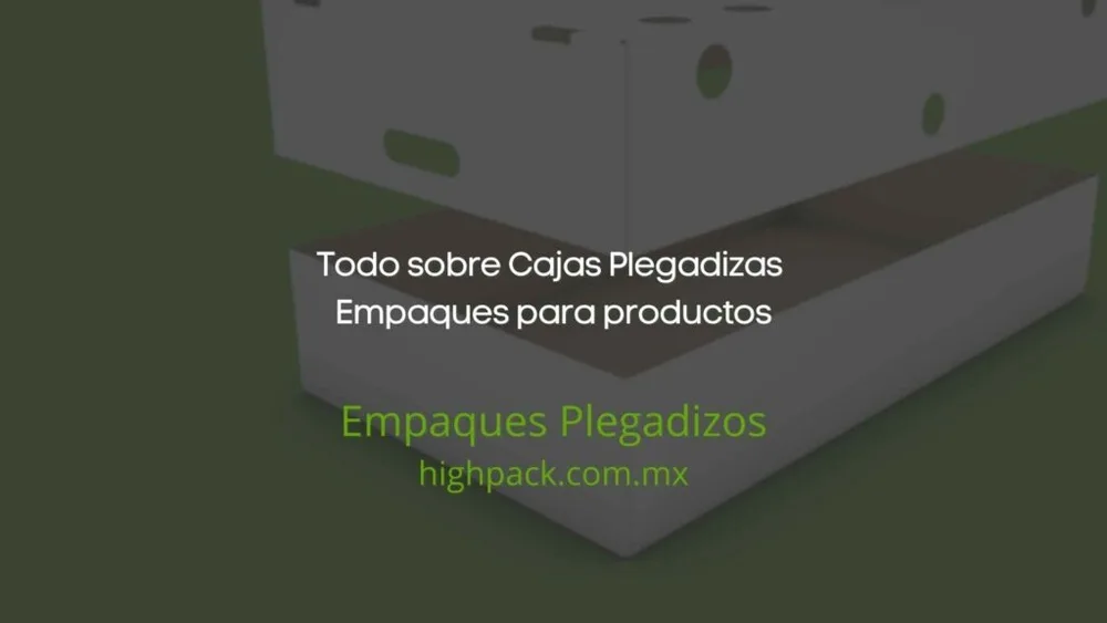 Caja Plegad #3 19.5x16x7.5x100u Dogger